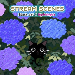 Black Cat and Hydrangea Twitch & YouTube Animated Stream Scenes –  Digital Download [MP4, PNG]
