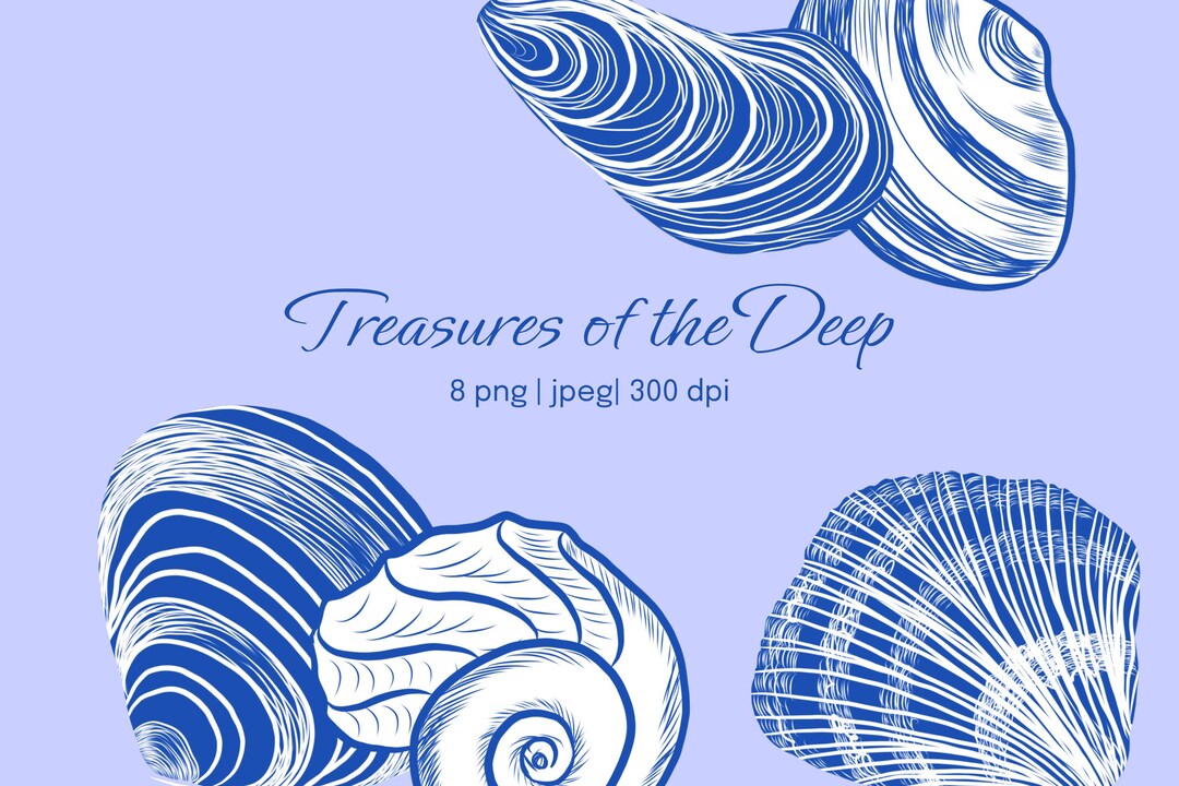Seashell Clipart Set – 8 Blue and White Nautical Shells – PNG and JPEG ...