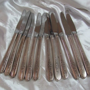 Può includere: Set di dodici coltelli da tavola in argento con decorazioni floreali ornate sui manici.