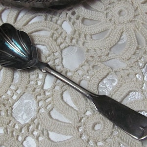 Può includere: Un cucchiaio d'argento con una coppa a forma di conchiglia e un manico lungo e sottile. Il cucchiaio poggia su una tovaglietta all'uncinetto color crema con un motivo floreale. La coppa del cucchiaio riflette la luce.