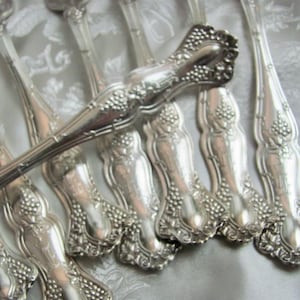 Può includere: Una collezione di posate antiche placcate in argento, tra cui forchette e un utensile da portata. Le posate presentano un motivo dettagliato a uva e foglie sui manici. I pezzi sono disposti su una superficie bianca a motivi.