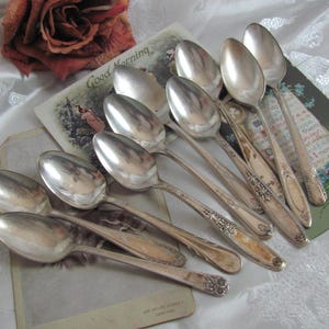 May include: A set of nine silver spoons with ornate designs. The spoons are arranged in a fan shape on a white surface.