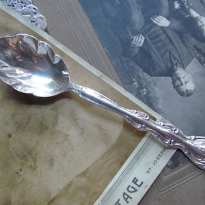 Interlude Pattern 1971 - Silver Plate Sugar Berry Bon Bon Nut Spoon // International Silver