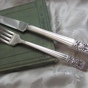 Puede incluir: Un tenedor y un cuchillo de plata con mangos ornamentados. Los mangos tienen un diseño floral. El tenedor y el cuchillo están sobre un libro verde.