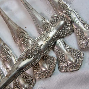 May include: A collection of silver-toned metal spoons featuring an ornate embossed pattern of grapes and leaves on the handles. Each handle displays a central engraved letter, with the letter O clearly visible on the primary spoon.
