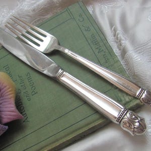 Può includere: Una forchetta e un coltello d'argento con manici decorati. I manici hanno un motivo floreale. Le posate sono appoggiate su un libro verde.