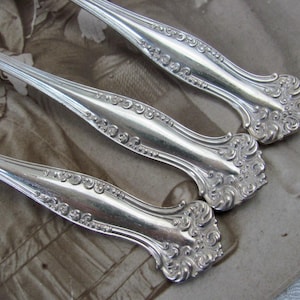 May include: Close-up of three antique silver spoons. The spoons have ornate, detailed handles with a floral design. The spoons are arranged diagonally across a neutral-toned background, showcasing their polished, reflective surfaces.