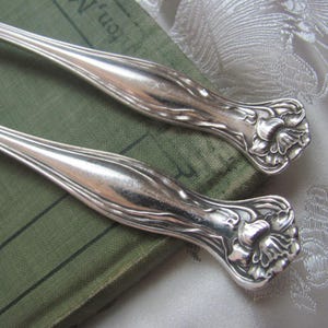 May include: Two silver-plated serving spoons with ornate floral designs on the handles. The spoons are lying on a green book.