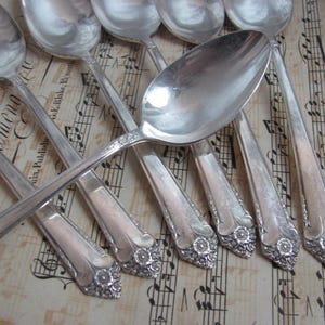 May include: A collection of antique silver spoons with ornate floral designs on the handles. The spoons are arranged on a vintage sheet music background, showcasing their reflective surfaces.