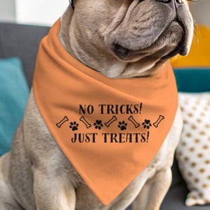 Halloween Dog Bandana: Spooky Pumpkin Pet Collar, Adjustable Polyester Scarf