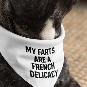 Cute Frenchie Bandana – “Fluent in Frenchie” – French Bulldog Dog Bandana for Pet Lovers, Dog Moms & Frenchie Owners