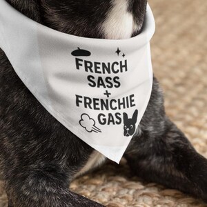 French Sass & Frenchie Gas Bandana – Funny Bulldog Bandana for Gassy Dogs