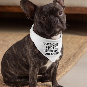 Funny Frenchie Bandana – “Frenchie Farts… Aged Like Fine Cheese” – Hilarious Gift for French Bulldog Lovers & Dog Parents