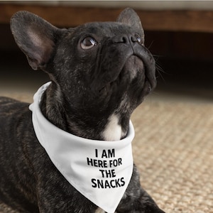I Am Here for the Snacks Dog Bandana – Funny French Bulldog Pet Scarf for Frenchie Lovers and Food-Obsessed Pups