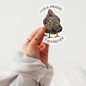 Cluck Around And Find Out Chicken Sticker Fowl Language Chicken Humor Vinyl Decal Chicken Mom Sticker Chicken Farm Sticker Homestead