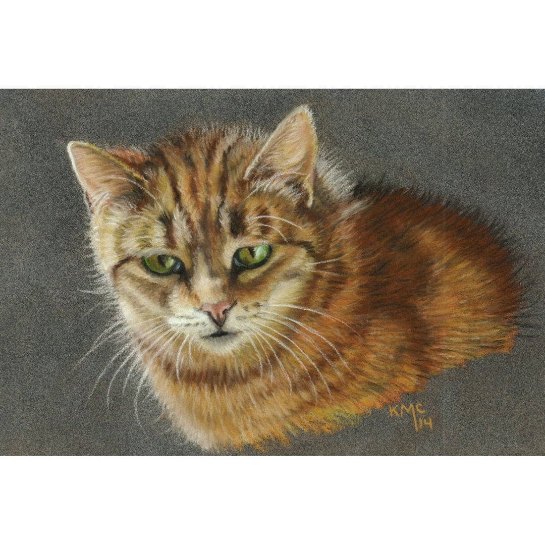 Tabby Cat Portrait Pastel Matted and Framed Kmcoriginals - Etsy