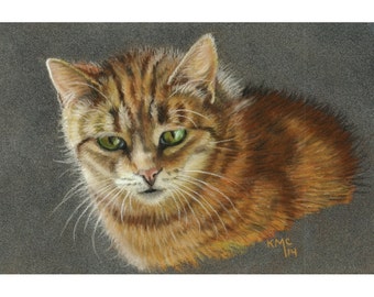 Tabby cat portrait pastel matted and framed kmcoriginals