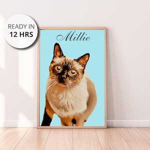 Custom Siamese Cat Portrait Digital Download, Canvas Print, or Framed Canvas Personalized Siamese Pet Art Siamese Cat Gift for Cat Lovers