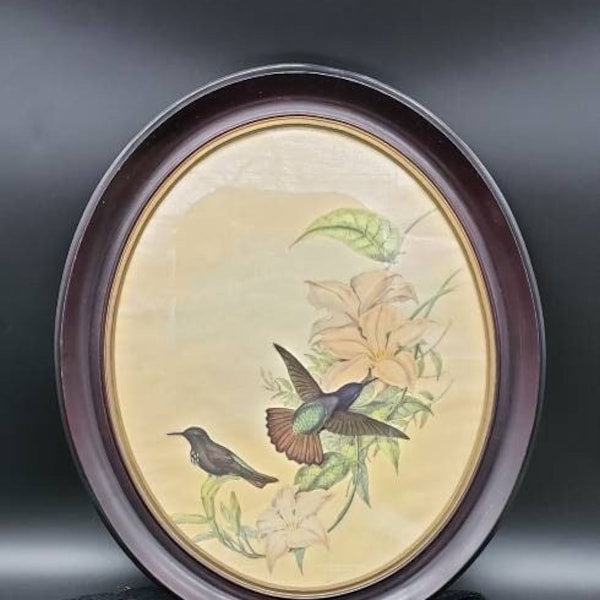 REDUCED FREE SHIPPING Vtg Two Tone Wood Framed Floral Hummingbird Print Victorian Style Oval Picture Frame #2, 17 x 20