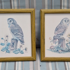 REDUCED FREE SHIPPING Vtg 1970&#39;s Pair Owl Lithograph Art Prints, Tom Wood