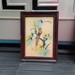 REDUCED FREE SHIPPING Vtg Mid Century Framed Mexican Tropical Bird Feathercraft Art Shabby Wood Look Plastic Picture Frame