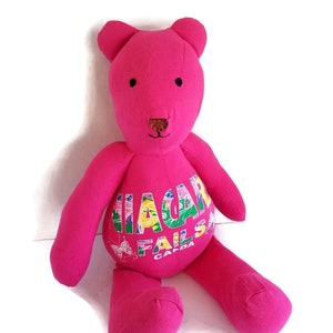 K&ouml;nnte beinhalten: Ein rosa Stoffteddyb&auml;r mit schwarzen Augen und einer braunen Nase. Der B&auml;r sitzt mit ausgestreckten Beinen und hat die Worte "NIAGARA FALLS CANADA" auf seiner Brust.