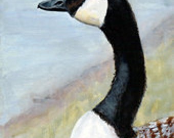 Canadian Goose, Original, Acrylic  Painting