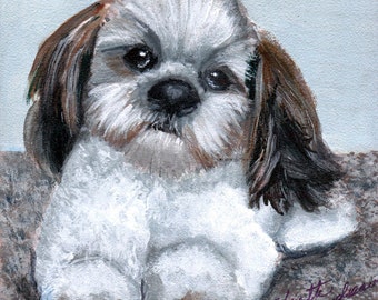 Shih Tzu, Miniature, Original Acrylic  Painting