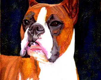 Boxer