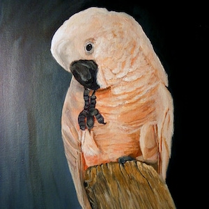 Pink Cockatoo, Original Acrylic Painting image 1