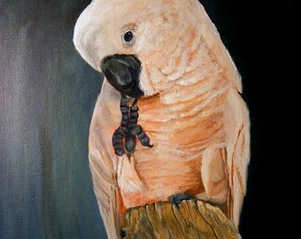 Pink Cockatoo, Original Acrylic  Painting