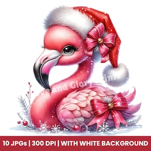 Cute Christmas Flamingo JPG Clipart, Watercolor Holiday Bird in Santa Hat, Tropical Christmas Animal Art for Cards, Prints, Crafts, DIY