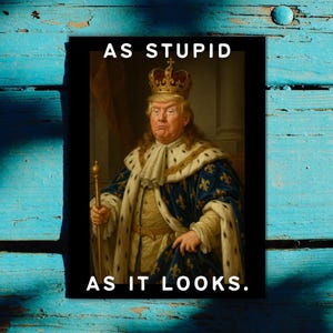 As Stupid As Looks - Druckbare digitale Bilddatei - Bild für Druck auf Aufklebern Schilder Poster - Don't Tread On Me - No Kings Tyrants