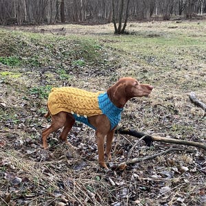 naturall woll sweaters; Dog clothes;Pet costume; Viszla jacket; Vizsla sweater; Costume for large dog; Blue dog jacket; handmade; dog jacket