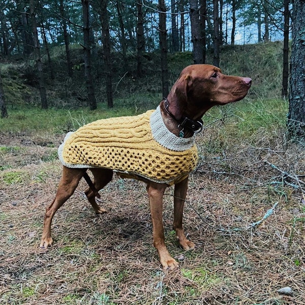 Vizsla Sweater Etsy UK