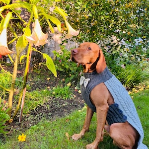 Natural woll ;knitted dog sweater; Warm jumper for a dog;  Dog clothes; costume for large dog; large dog sweater;sweater for vizsla