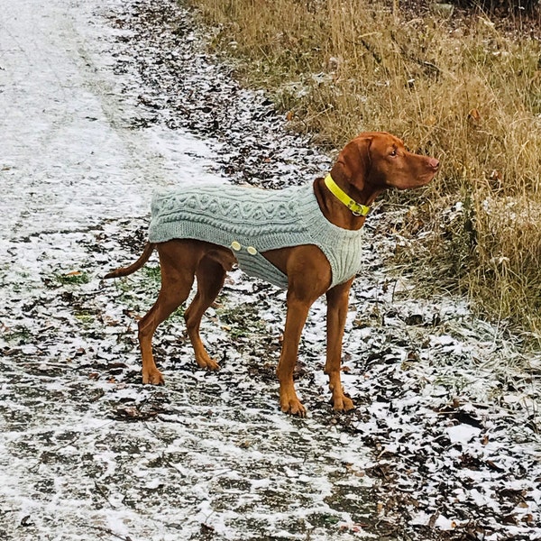 Naturall gray wooll; Warm jacket for a big dog; Dog clothes; yarn sweater for vizsla; costume for large dog; dog jacket; large dog sweater