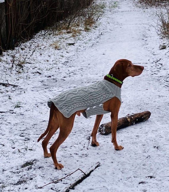 Hand-knitted Wool Dog Sweater: Warm Winter Jacket for Large Dogs