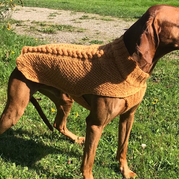 Vizsla Dog Clothes Etsy