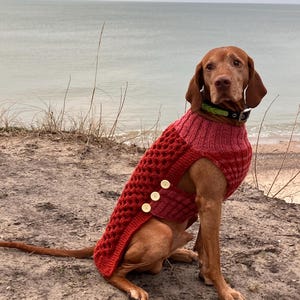 dog sweater/ autum sweater/ Warm jacket for a big dog/  Dog clothes / natural wool sweater for vizsla/ costume for dog/  large dog sweater