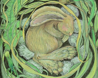 magical sleeping hare , bespoke , original colour pencil illustration , gift for birthdays , christmas or solstice