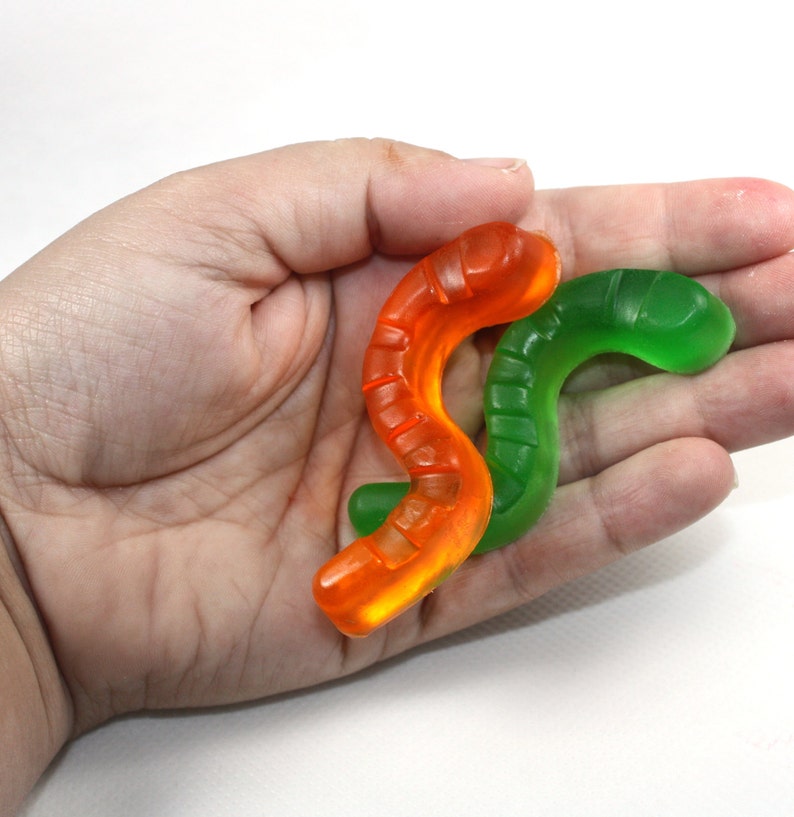 5 Gummy Worm Soaps candy soap, party favor, earthworm, science class, stocking stuffer, birthday party, how to eat fried worms image 4