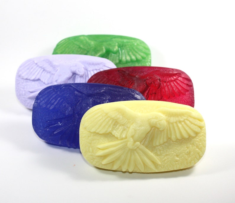 Parrot Soap pet bird bird soap macaw birdlover bird Etsy