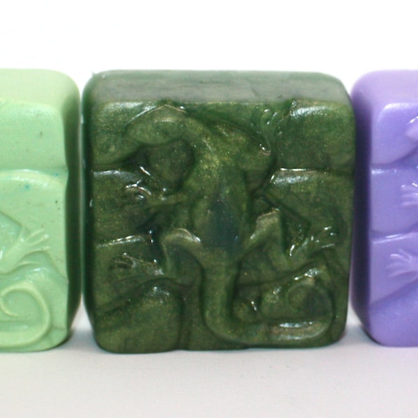 Newt, Salamander, Lizard, Anole, Gecko Soap - amphibian, reptile, herpetology, herpetologist, party favor, lizard lover, florida wildlife