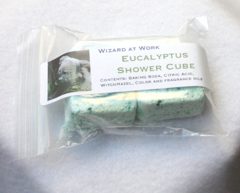Eucalyptus Shower Cubes Cold Flu Allergies Stuffy Nose Etsy