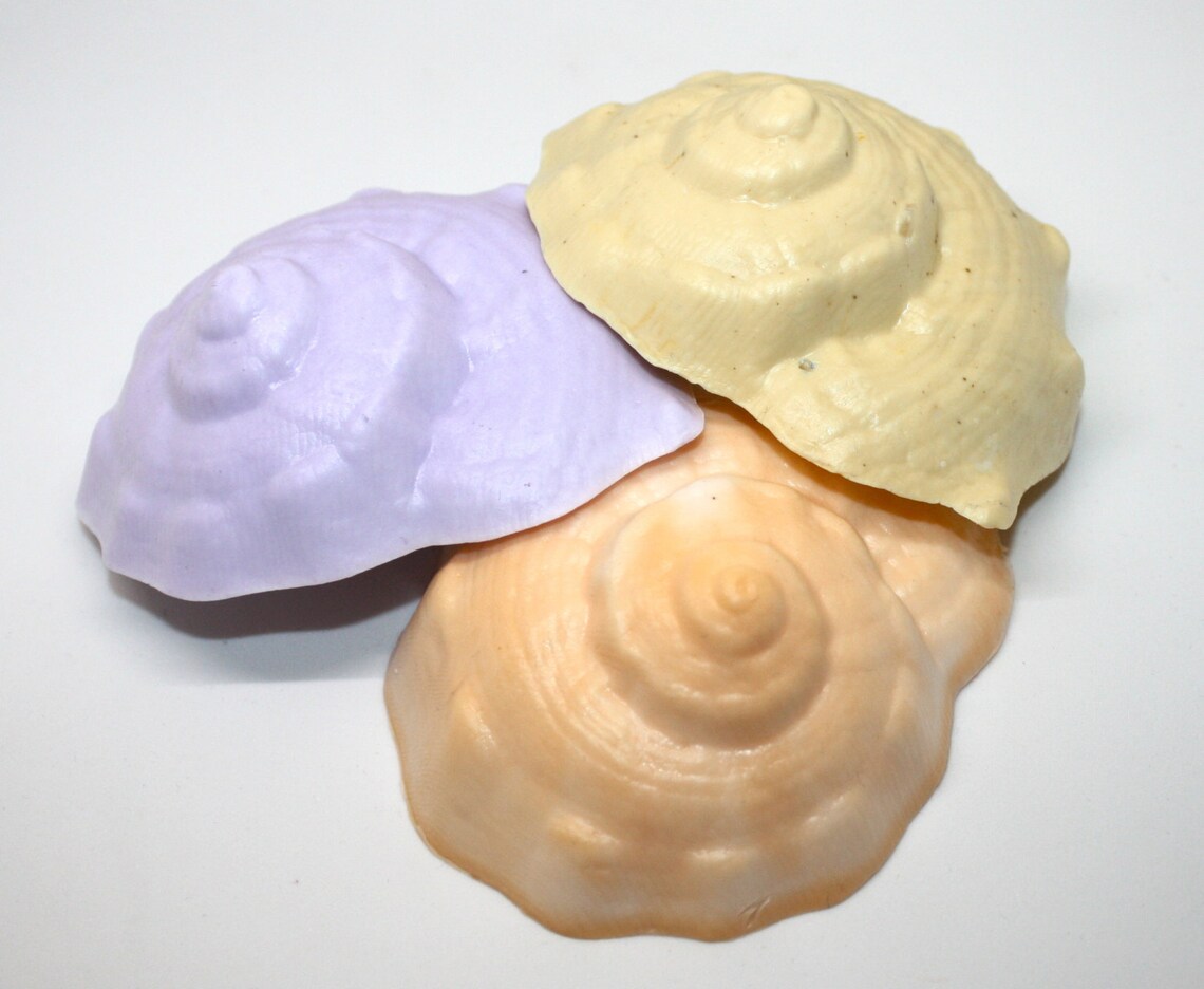 Spiral Sea Shell Soap Party Favor Ocean Theme Party | Etsy