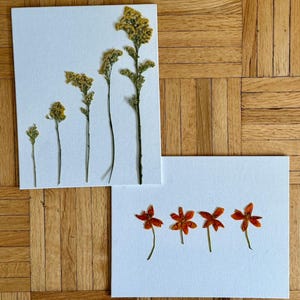 dried/pressed flower art
