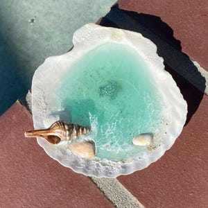 May include: A decorative seashell-shaped resin dish with a turquoise interior, resembling a small pool. The dish features a white border and contains several seashells. The dish is placed on a red brick surface.
