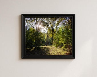 Photo de paysage de forêt verte : impression d'art nature (téléchargement numérique)