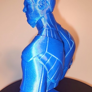 Nightwing Injustice Bust!